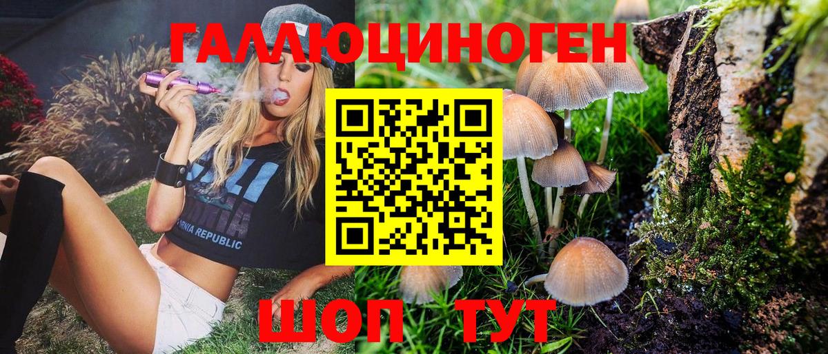 Ейск  Галлюциногенные грибы MAGIC MUSHROOMS  Галлюциногенные грибы мухоморы  цены наркотик  Вход с VPN 